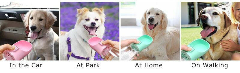 Portable Leakproof Pet Water Bottle