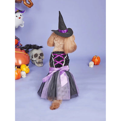 Halloween Dog Dress with Witch Hat – Festive Pet Costume AliExpress