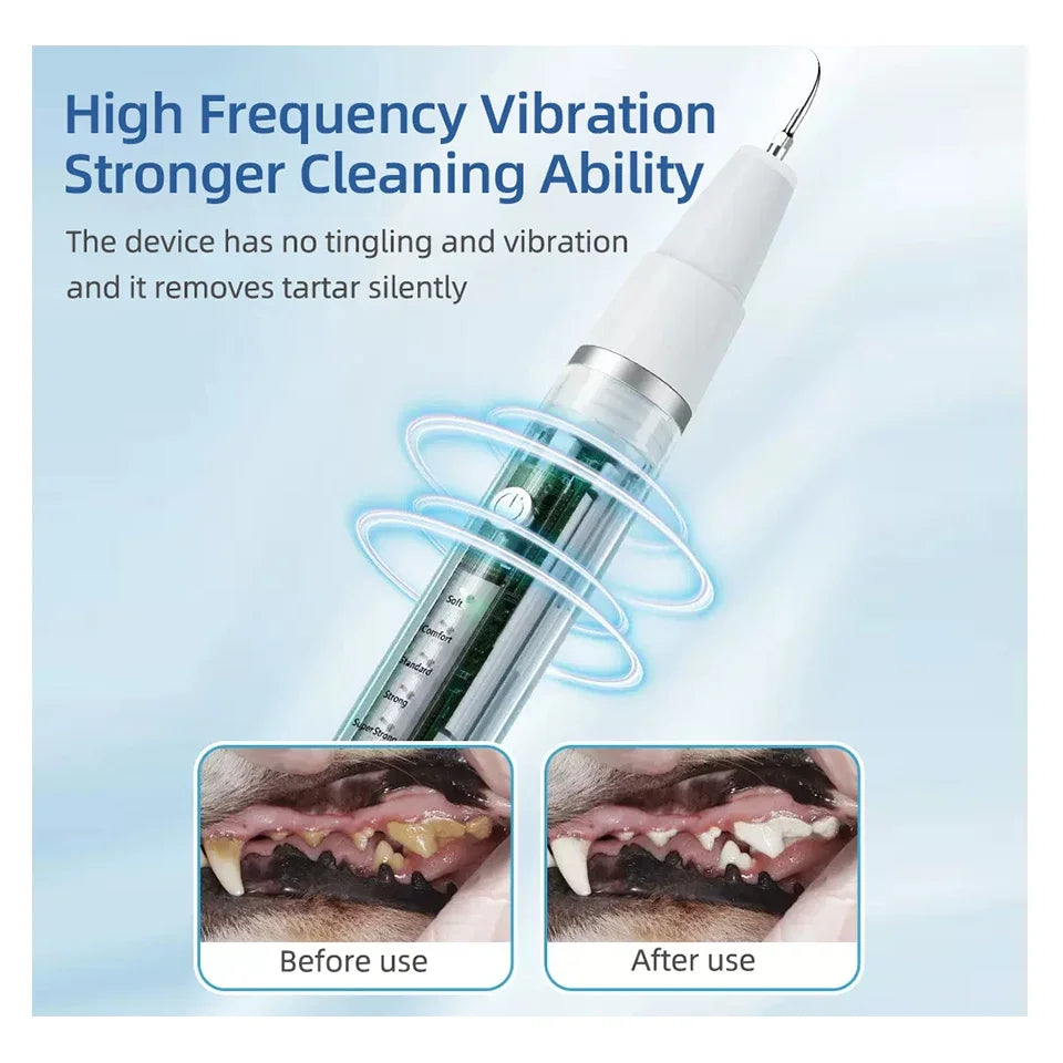 Pet Dental Ultrasonic Scaler