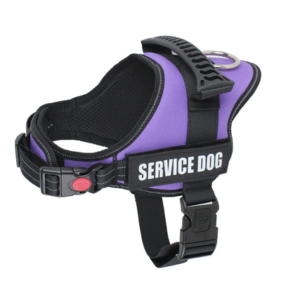 Customizable Luxury Dog Harness