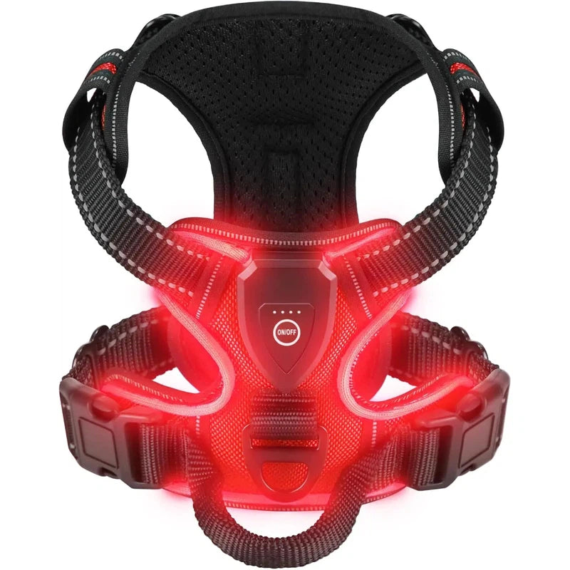 LED Glowing Luminous Dog Harnesses Essential for Dog Walking Safety at Night Dog Vest with Three LED Light Modes Rechargeable Poochi Paws