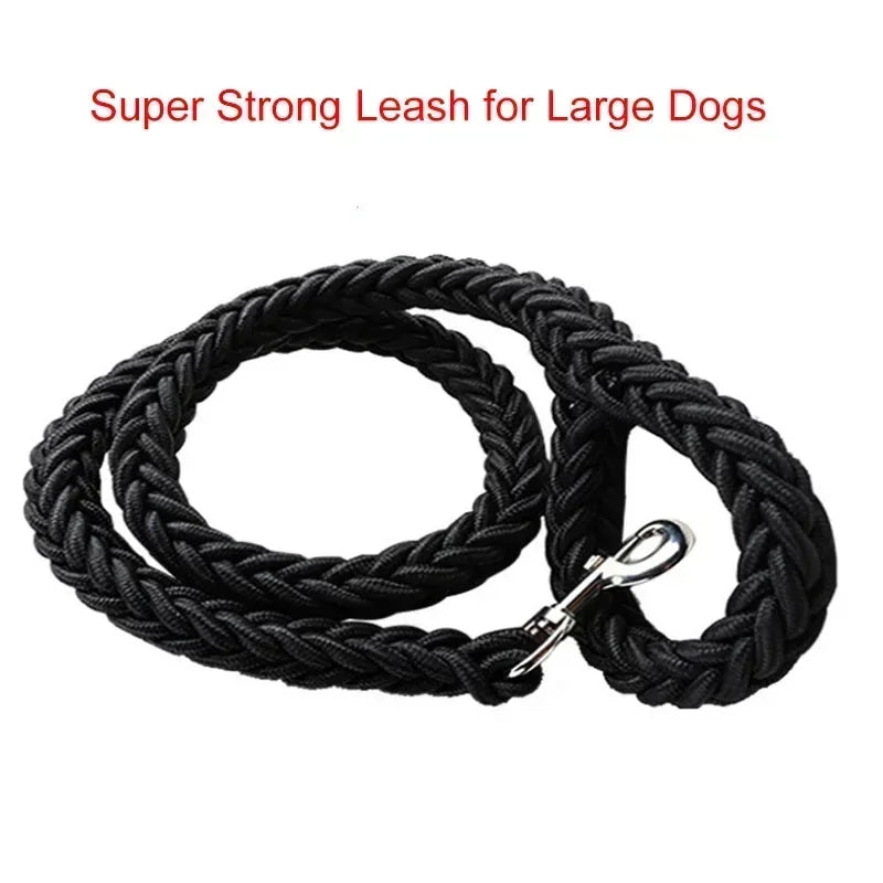 Durable Nylon Dog Harness & Leash for Outdoor Adventures AliExpress