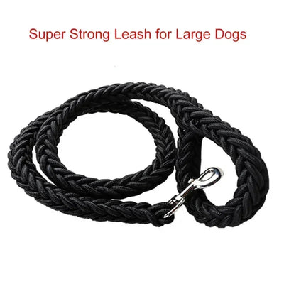 Durable Nylon Dog Harness & Leash for Outdoor Adventures AliExpress