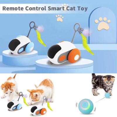 Interactive Cat Toy Smart Remote Control Mouse Ball AliExpress