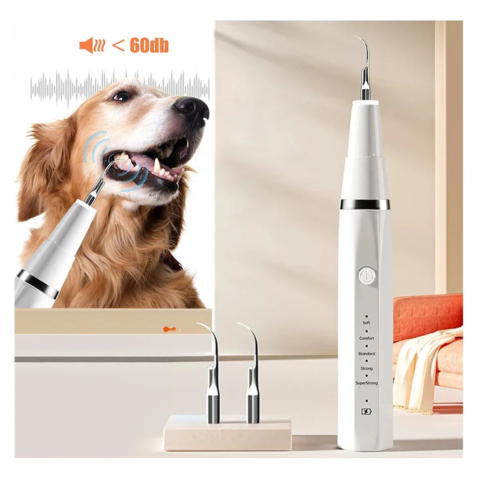 Pet Dental Ultrasonic Scaler