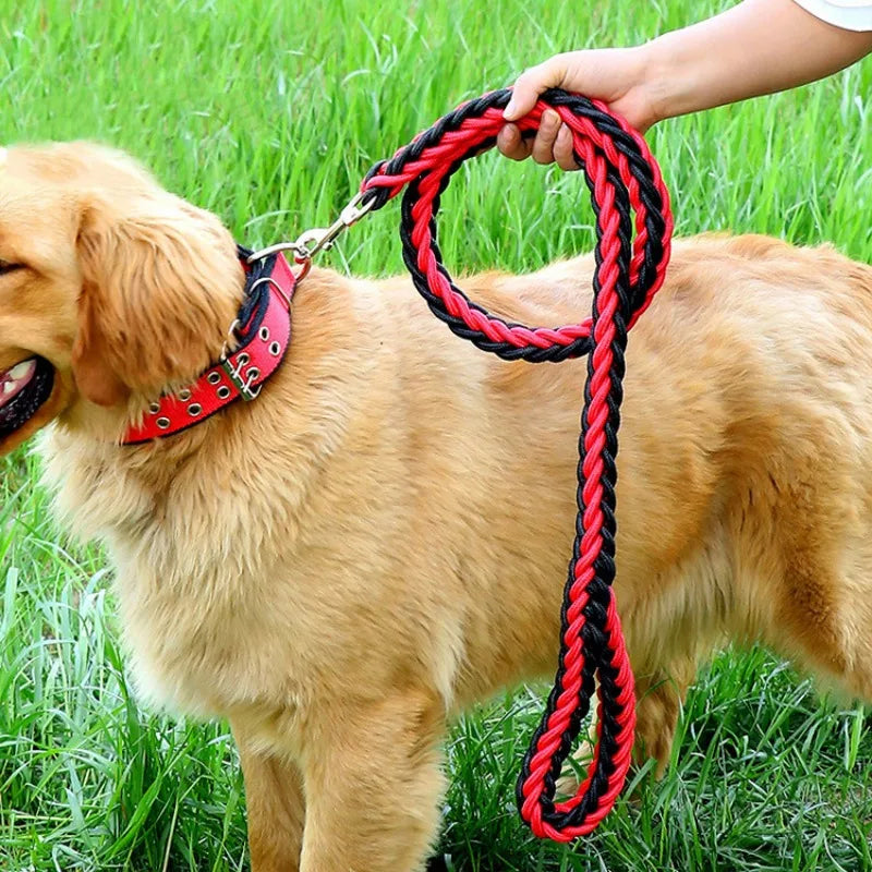 Durable Nylon Dog Collar Leash Set