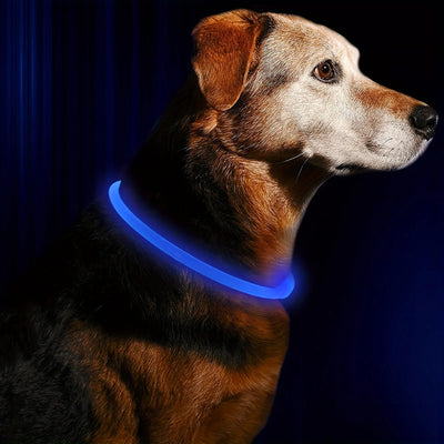 LED Anti-Lost Dog Collar