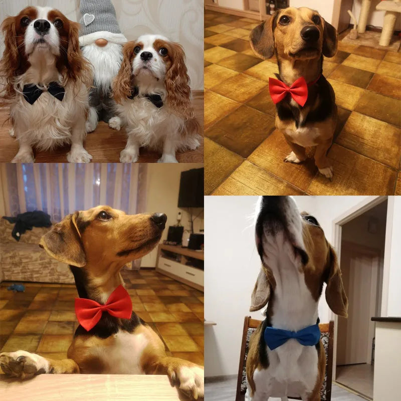 Formal Pet Bow Tie Collar