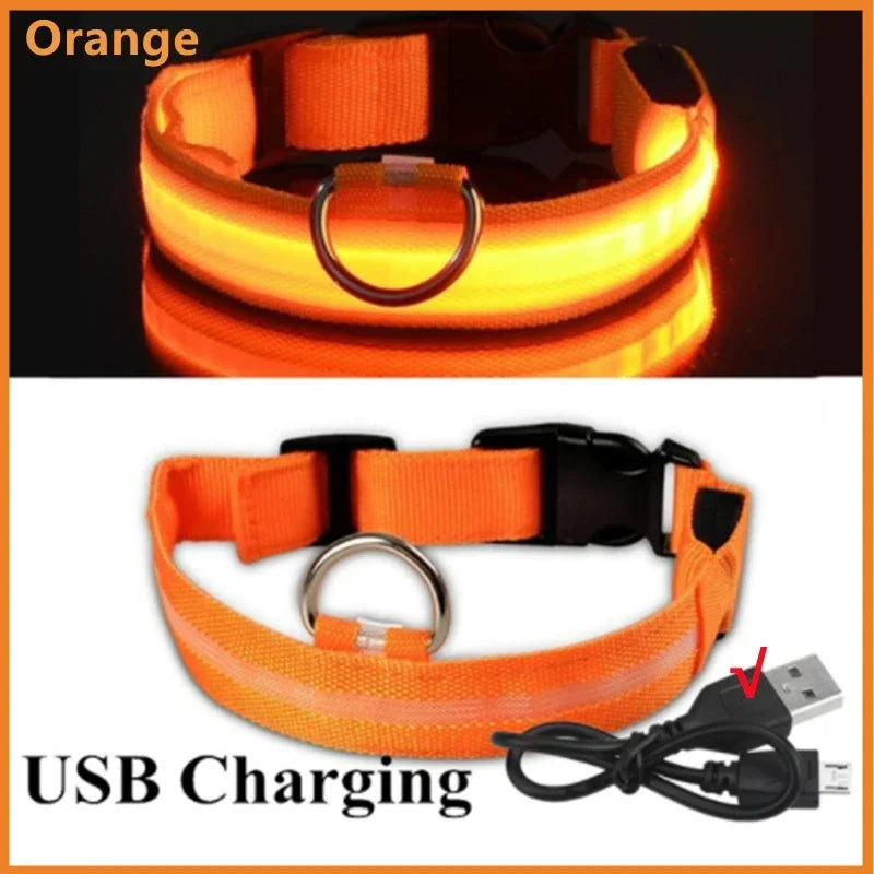 USB LED Glow Dog Collar