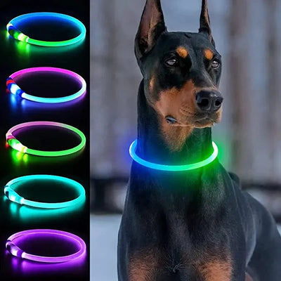 New Led Luminous Dog Collar PVC Waterproof , For Large Medium Small Dogs Collar Usb Light Night Safety Pet Glowing Accessories Poochi Paws