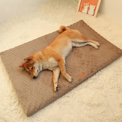 Cozy Plush Pet Bed - Removable & Washable Comfort AliExpress