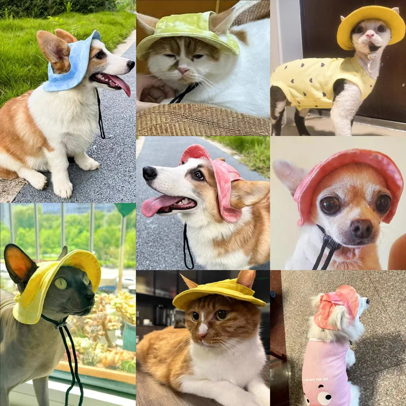 Pets Hat with Ear Holes Adjustable Baseball for Medium Small Dogs Summer Dye Cats Sun Cap Pet Outdoor Hat Supplies Poochi Paws