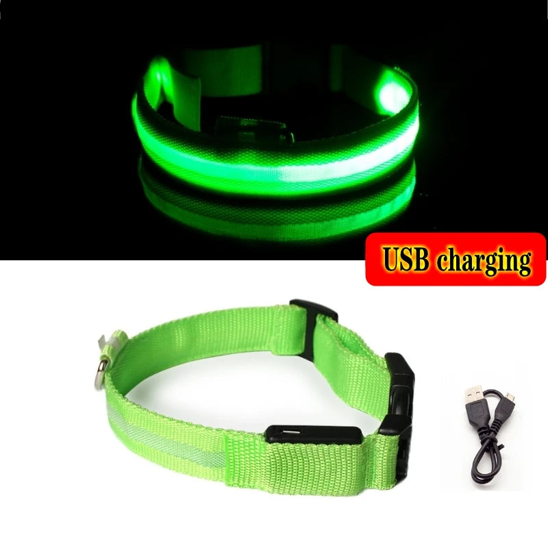 LED Anti-Lost Dog Collar