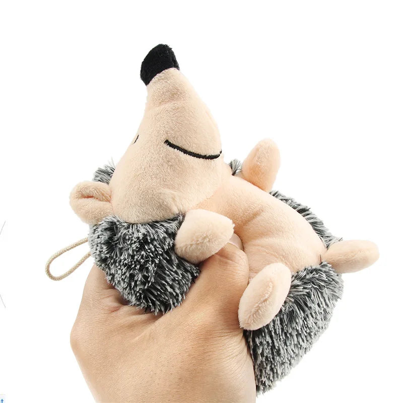 Soft Squeaky Hedgehog Toy for All Dogs AliExpress