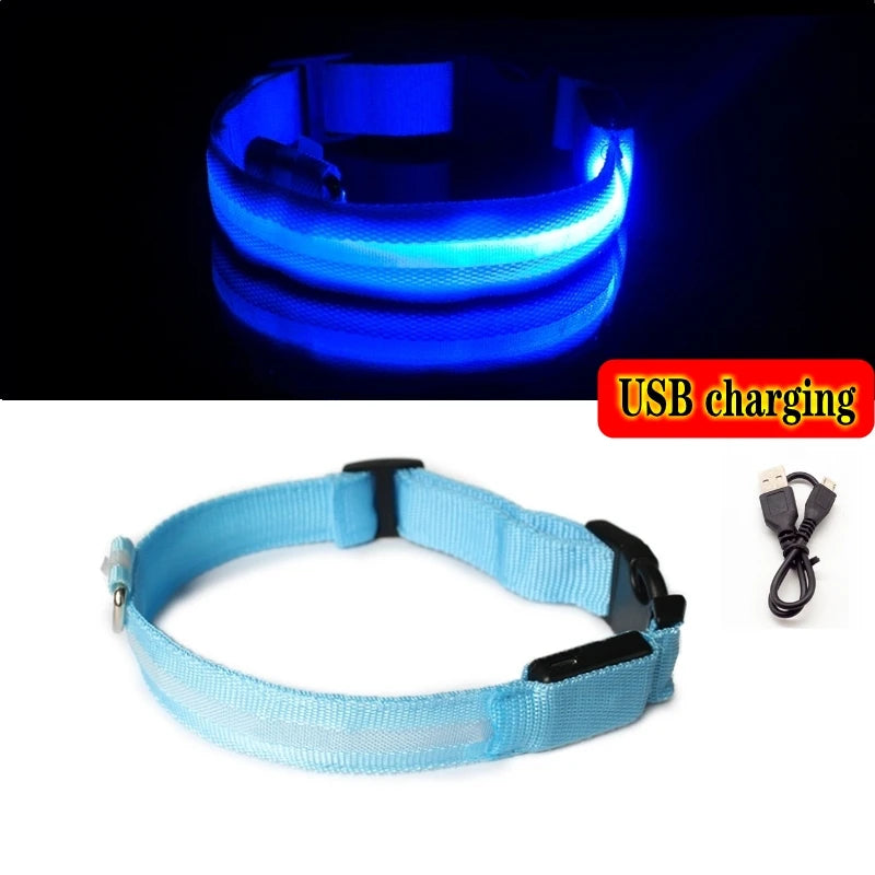 LED Anti-Lost Dog Collar