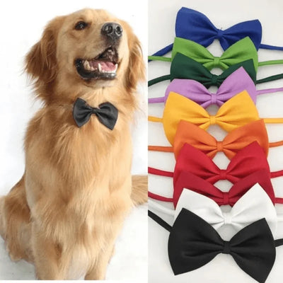 Adjustable Pet Bowtie Collar