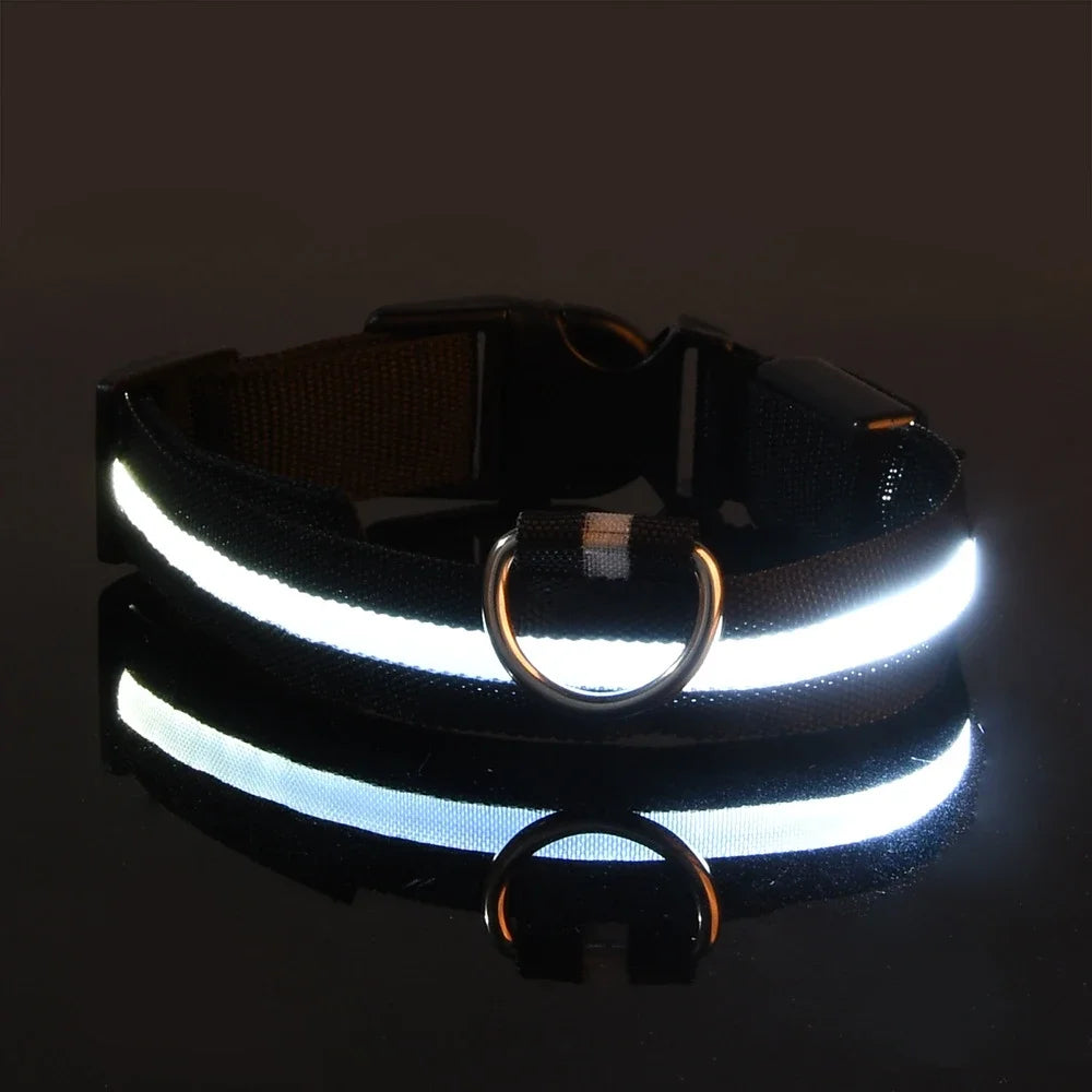 LED Glow Dog Safety Collar