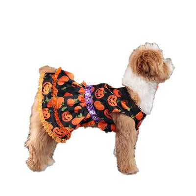 Halloween Pumpkin Lace Dress for Pets - Double Layered Fun AliExpress