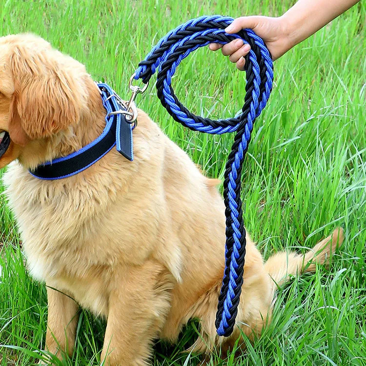 Durable Nylon Dog Collar Leash Set