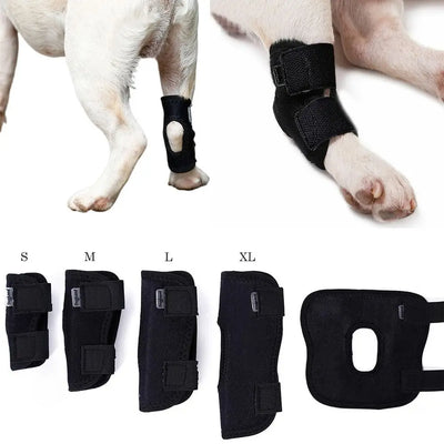 Dog Leg Support Brace for Arthritis and Injury Recovery AliExpress