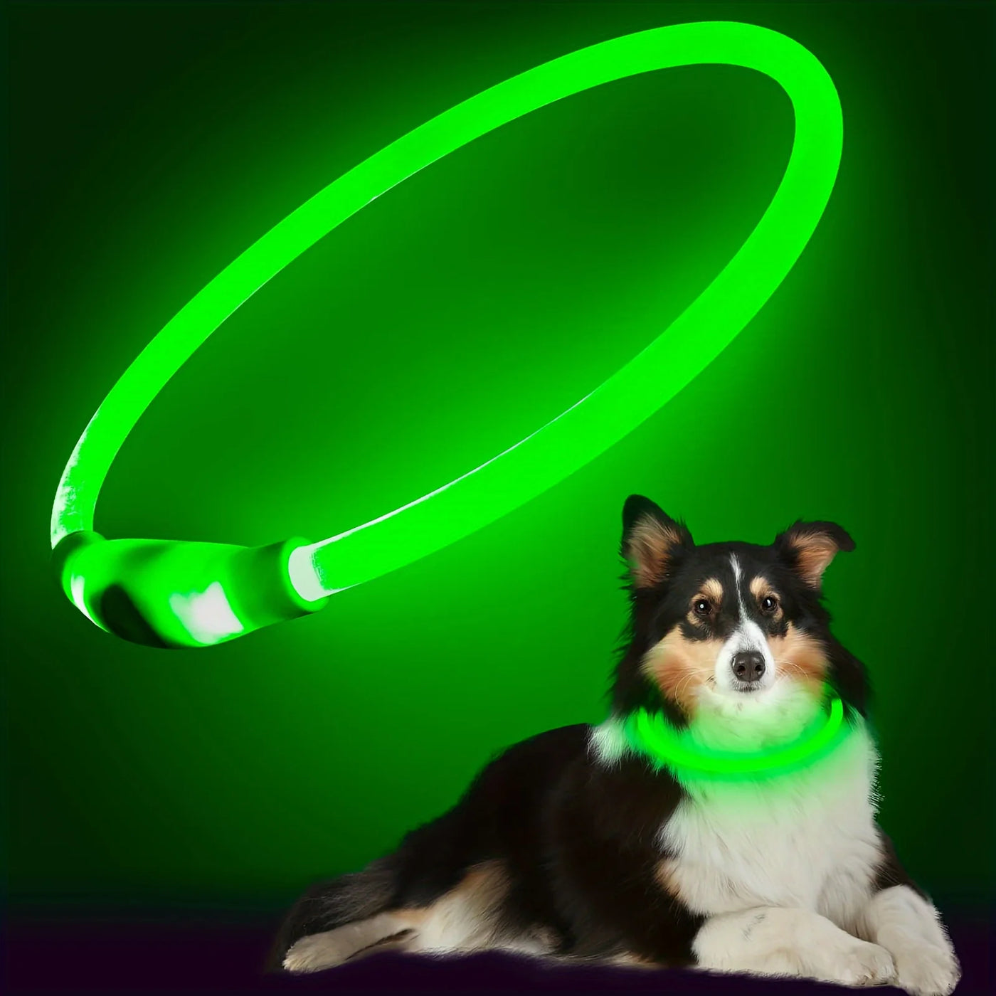 LED Anti-Lost Dog Collar