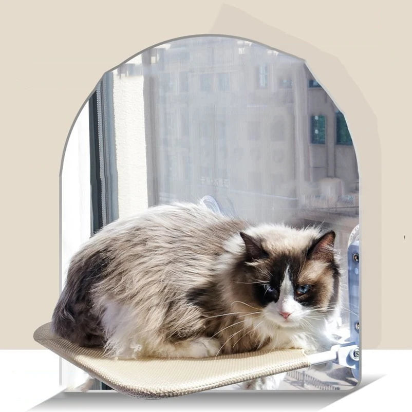 Cat Hanging Nest with Suction Cup Swing AliExpress