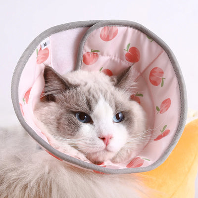 Soft Cat Recovery Collar, Adjustable Pet Cone AliExpress