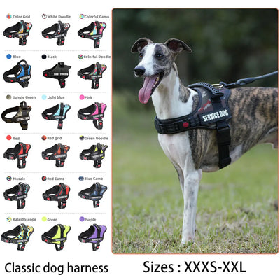 Customizable Luxury Dog Harness