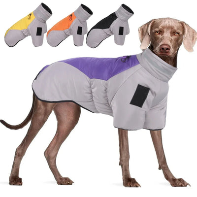 Waterproof Winter Jacket for Large Dogs AliExpress