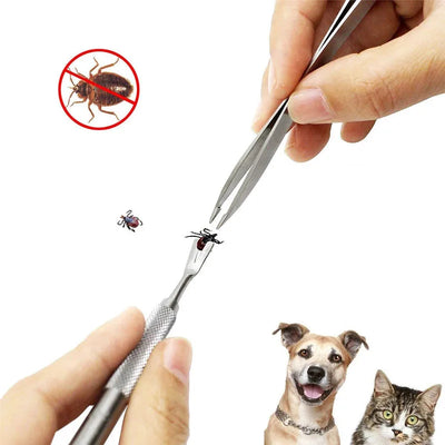 Stainless Steel Pet Tick & Flea Removal Tool Set AliExpress