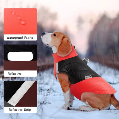 Waterproof Winter Dog Jacket for Small & Large Breeds AliExpress