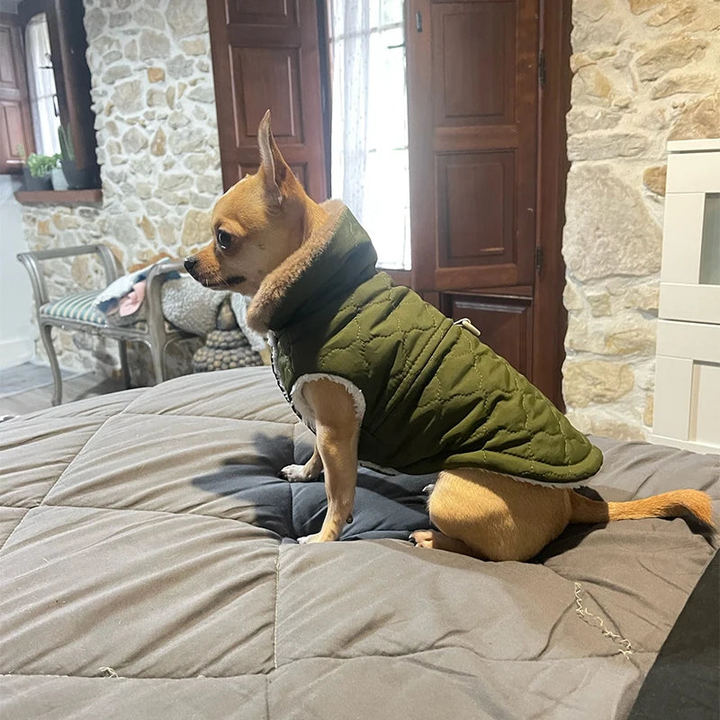 Cozy Fleece Winter Jacket for Small & Medium Dogs AliExpress