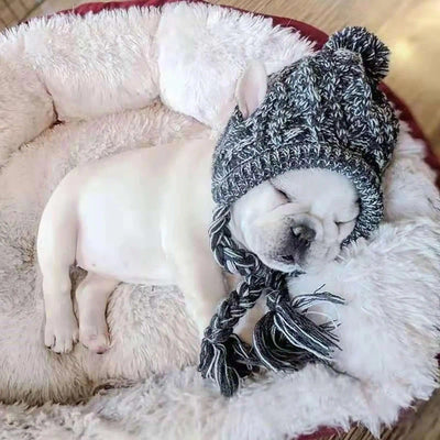 Winter Warm Dog Hats Windproof Knitting French Bulldog Hat For Dogs Chihuahua Hat Fluffy Ball Pet Hat Puppy Accessories Poochi Paws