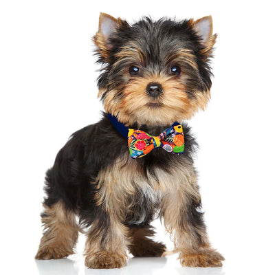 Adjustable Pet Bow Tie Set