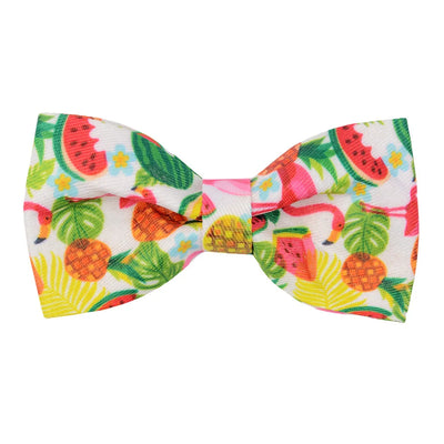 Summer Fruit Dog Bow Tie Set - 50 or 100 sets