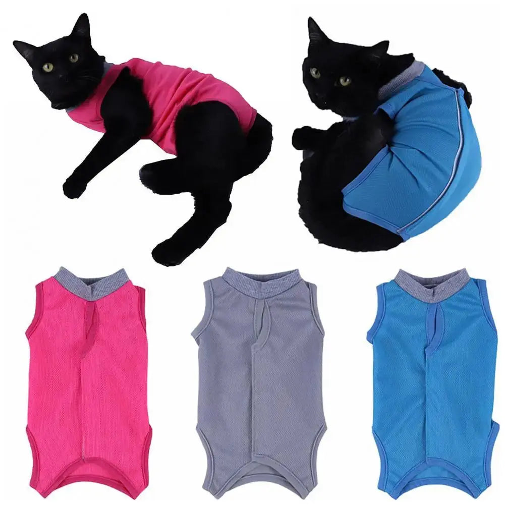 Adjustable Cat Recovery Suit – Comfortable Neutering Vest AliExpress