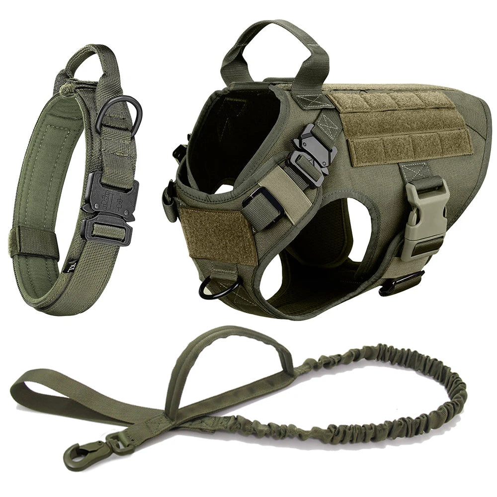 Large Dog Harness & Leash Set