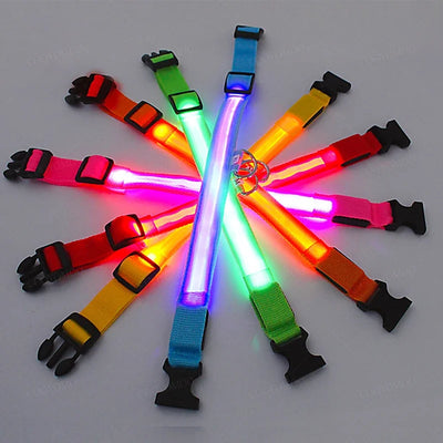 USB LED Glow Dog Collar