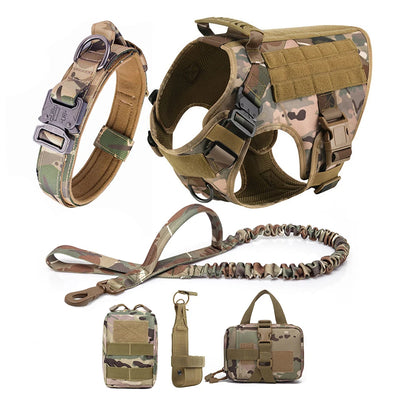 Large Dog Harness & Leash Set