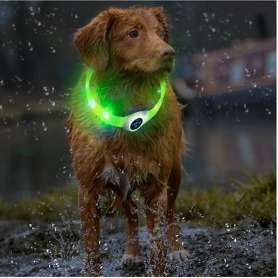 New Led Luminous Dog Collar PVC Waterproof , For Large Medium Small Dogs Collar Usb Light Night Safety Pet Glowing Accessories Poochi Paws