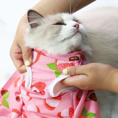 Cat Weaning & Sterilization Suit for Recovery AliExpress