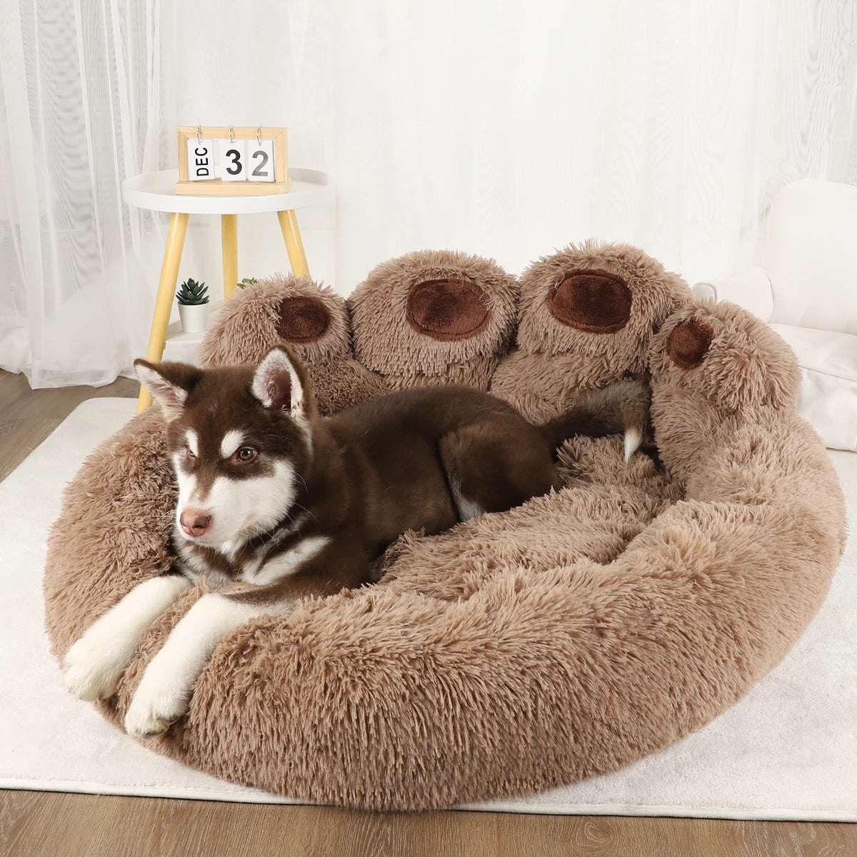 Cozy Fluffy Dog Bed for Ultimate Comfort AliExpress