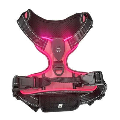 LED Glowing Luminous Dog Harnesses Essential for Dog Walking Safety at Night Dog Vest with Three LED Light Modes Rechargeable Poochi Paws