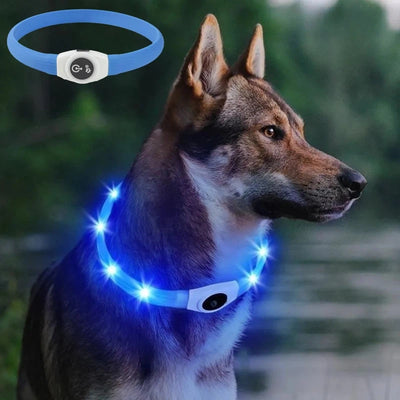 New Led Luminous Dog Collar PVC Waterproof , For Large Medium Small Dogs Collar Usb Light Night Safety Pet Glowing Accessories Poochi Paws