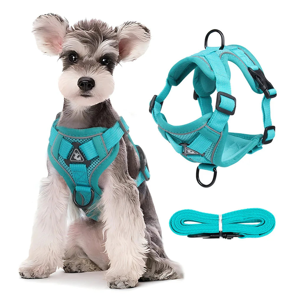 Adjustable Dog Harness Leash Set