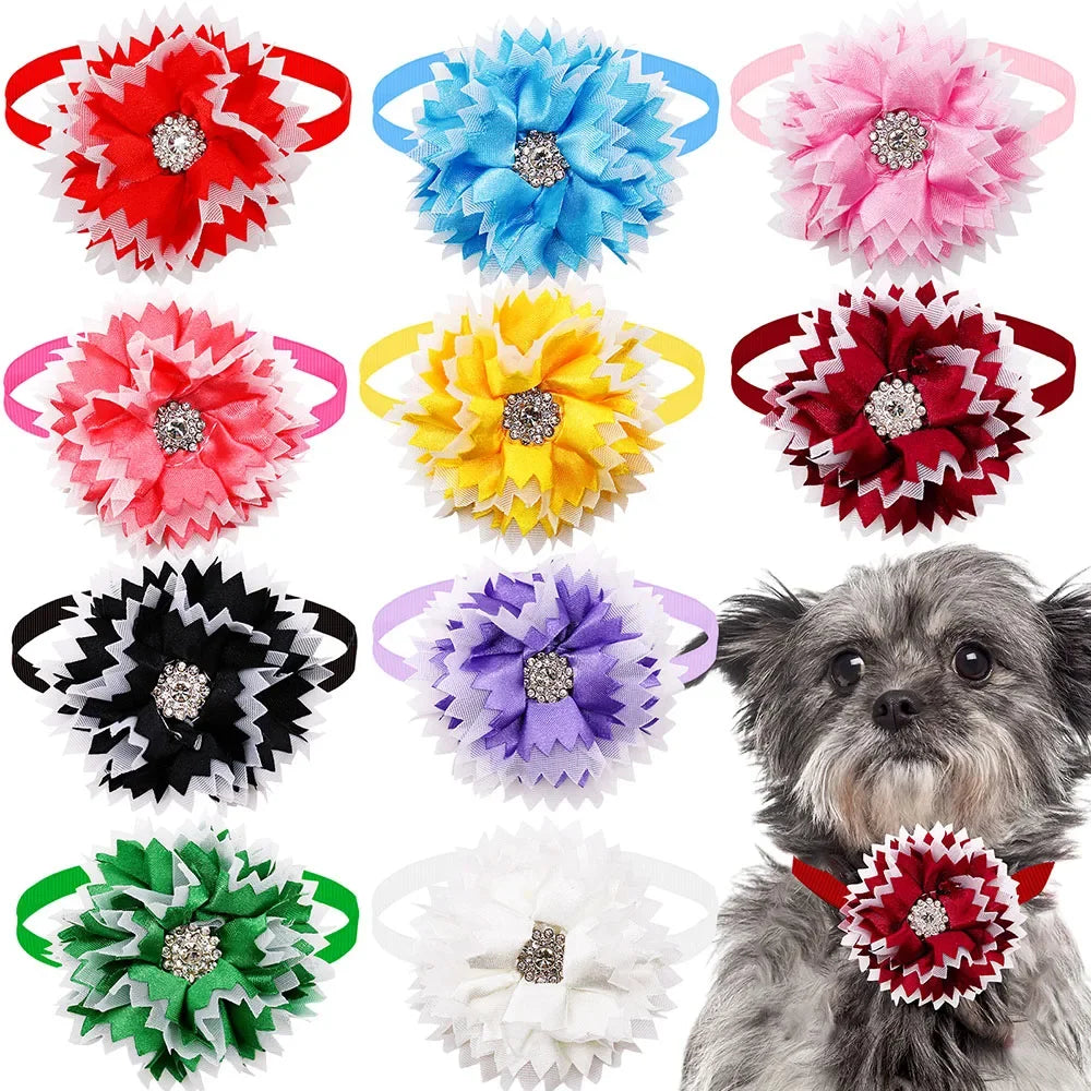 Diamond Dog Bow Tie Set - 50pcs set