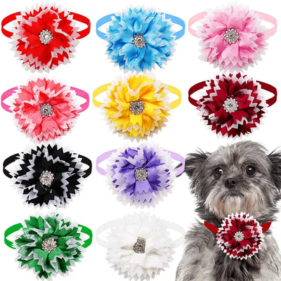 Diamond Dog Bow Tie Set - 50pcs set