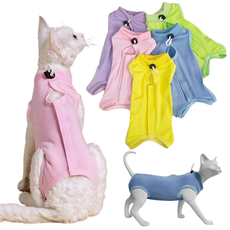 Cat Sterilization Vest for Dogs and Cats AliExpress