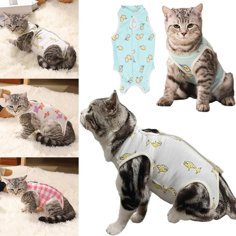 Cat and Puppy Sterilization Surgery Recovery Suit AliExpress