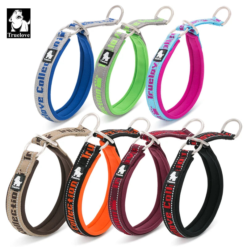 Neoprene Padded Dog Collar